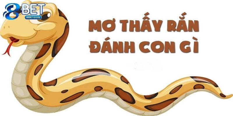 mơ thấy rắn